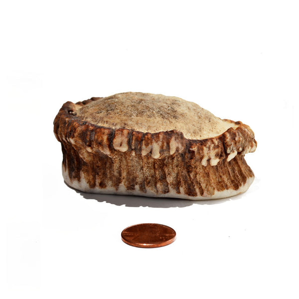 Hard Density Regular Burr