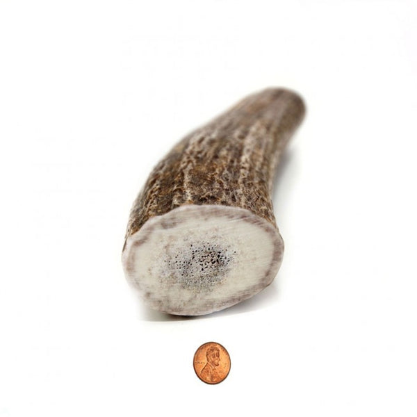 Hard Density Jumbo+ Whole Antler Chew