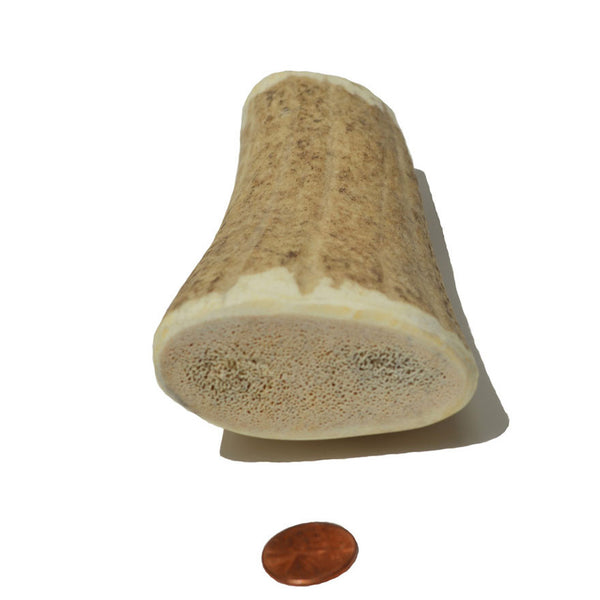 Medium Density Jumbo Whole Antler Chew
