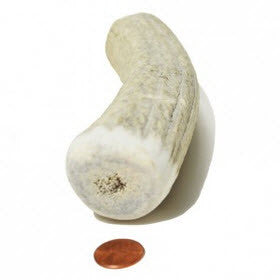 Soft Density Jumbo Whole Antler Chew